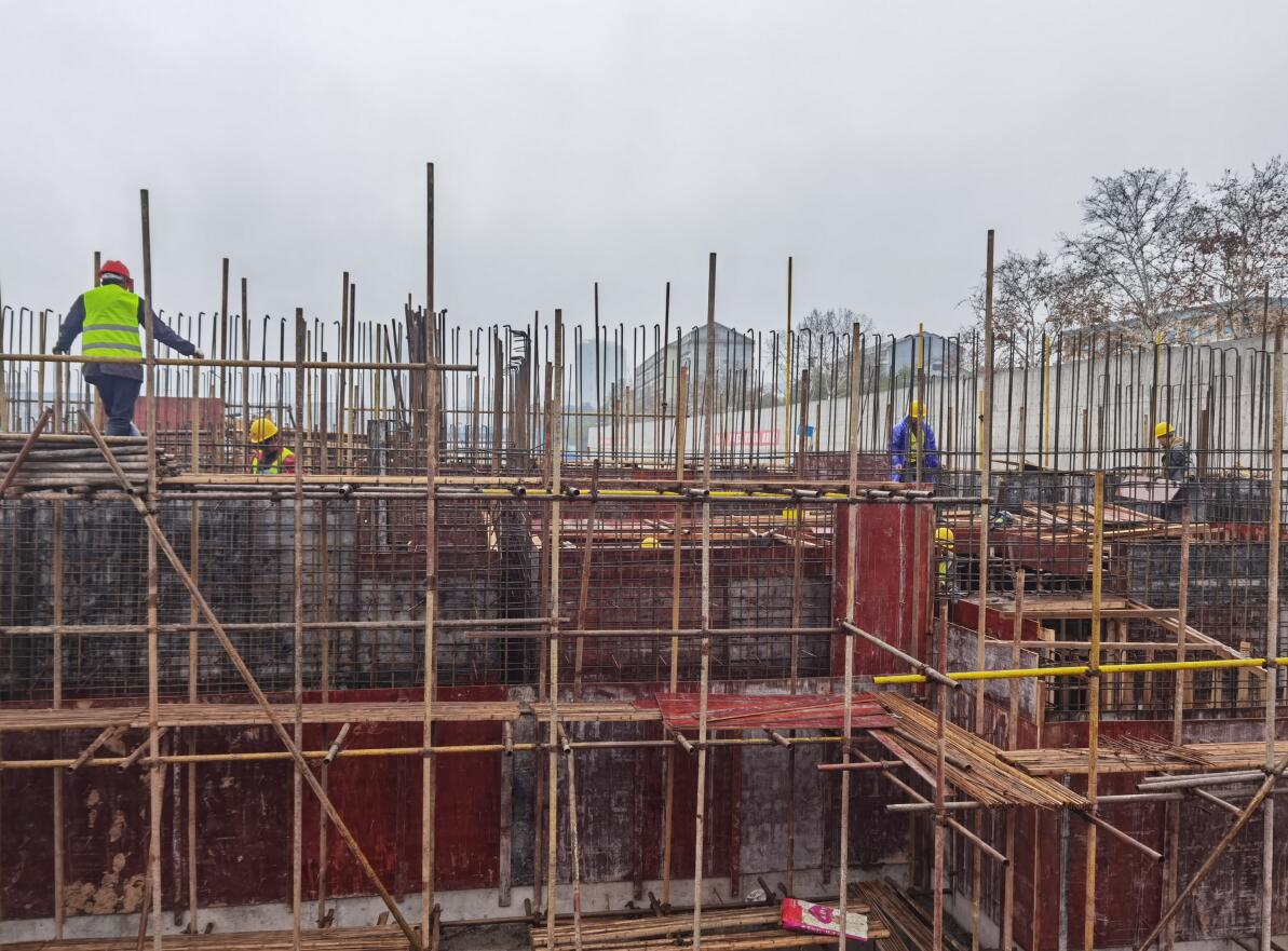 1676082789579945.jpg 1676082789579945.jpg