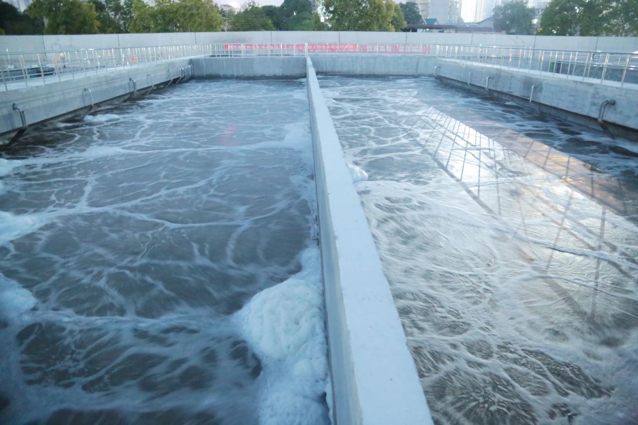 1695866790550155.jpg 1695866790550155.jpg